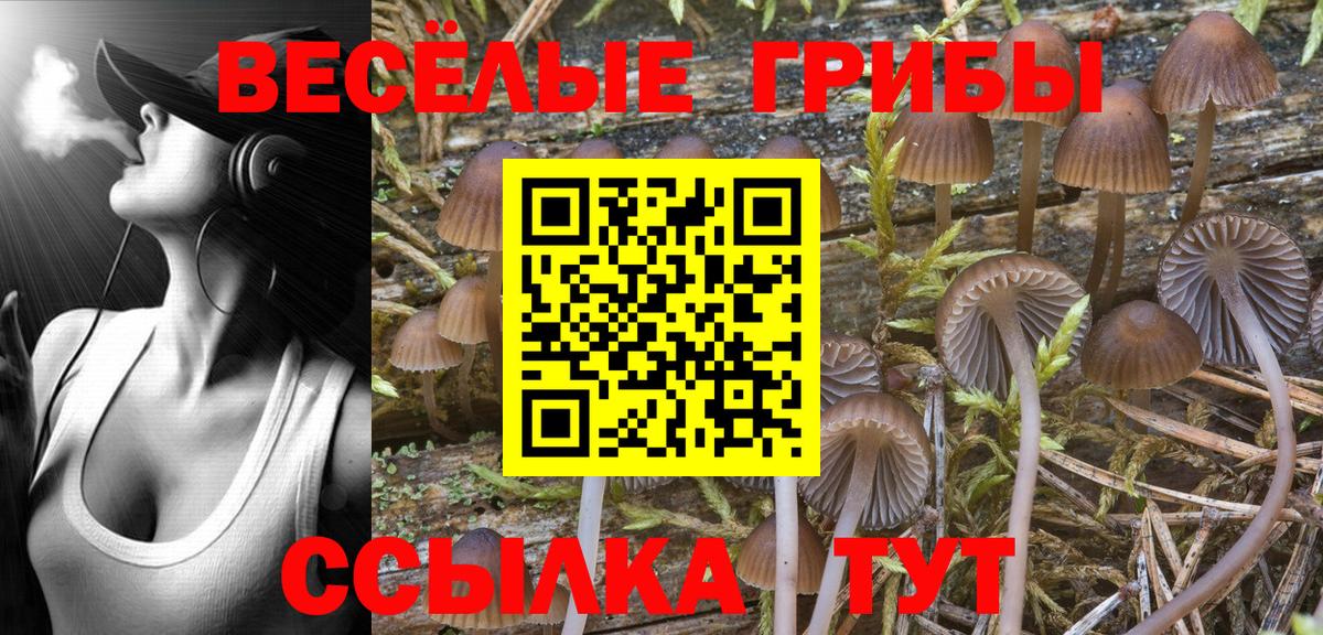 Галлюциногенные грибы GOLDEN TEACHER  Вход с VPN  Осинники  Псилоцибиновые грибы Psilocybine cubensis 